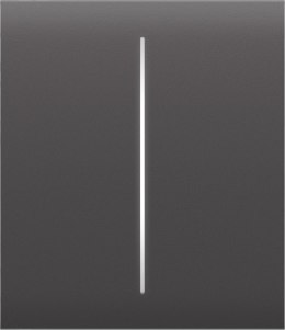 AJAX Button (grey) CenterButton (2-gang)