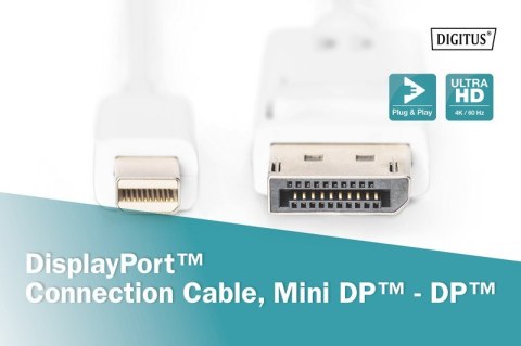 Kabel połączeniowy Displayport 4K 60Hz UHD Typ miniDP/DP M/M biały 2m