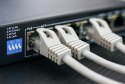 Kabel sieciowy KAT.5E UTP wewnętrzny 305m