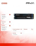 Dysk SSD 250GB M.2 2280 CS1030 M280CS1030-250-RB