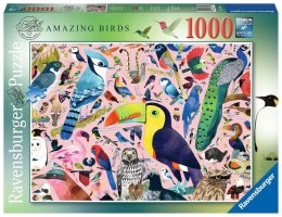 Puzzle 2D 1000 elementów Matt Sewells Wspaniałe ptaki