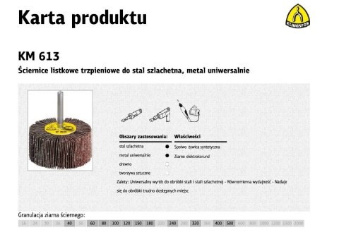 KLINGSPOR ŚCIERNICA LISTKOWA TRZPIENIOWA KM613 30mm x 15mm x 6mm gr.120