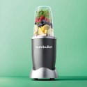 Blender personalny NB606.DG