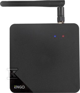 BRAMKA INTERNETOWA ENGO EGATE-PRO
