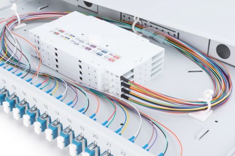 Przełącznica światłowodowa/panel krosowy z wyposażeniem 19 cali 1U, 24x LC duplex, OS2, zawiera pigtaile, adaptery, tacki, wysuw