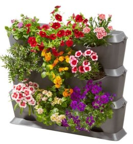 OGRÓD WERTYKALNY - ZESTAW PODSTAWOWY