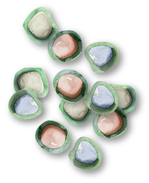 Gra Pachnący Ogród