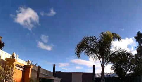 Kamera IP Reolink GO Series G330 4G LTE USB-C z akumulatorem camouflage