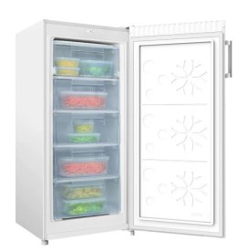 Zamrażarka FZ208.3AA(E)