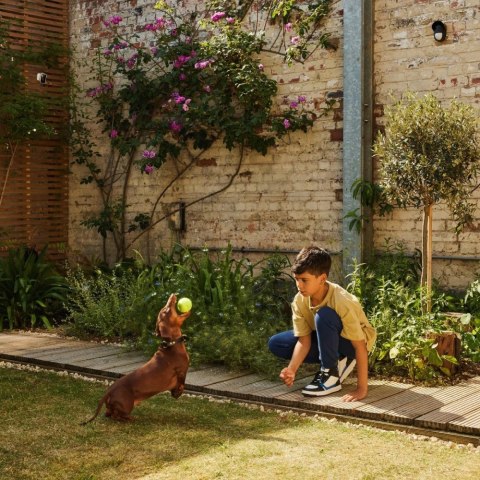 Zewnętrzny czujnik ruchu