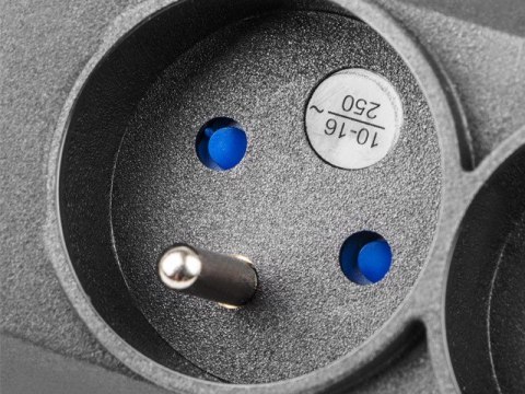 Listwa przeciwprzepięciowa M12/16A Rack 19'' 1.5m czarna (12 gniazd)