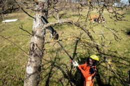 PODKRZESYWARKA PRZYSTAWKA MA-MS 25