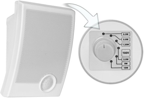 Głośnik Ścienny HQM-NPZ1016