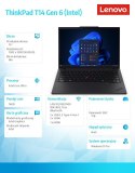 Ultrabook ThinkPad T14 G6 21QC004YPB W11Pro Ultra 7 255U/16GB/1TB/INT/14.0 WUXGA/Black/3YR Premier Support + CO2 Offset