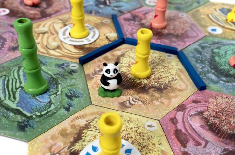 Gra Takenoko