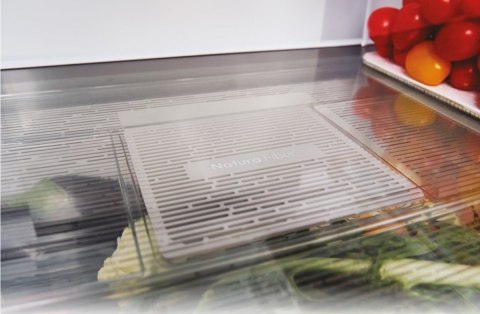 Chłodziarko-zamrażarka CNCQ4T618EX