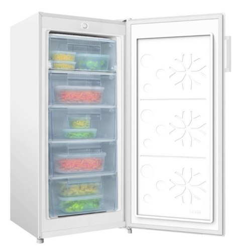 Zamrażarka FZ206.5(E)