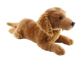 Maskotka Pies Golden leżący 60 cm