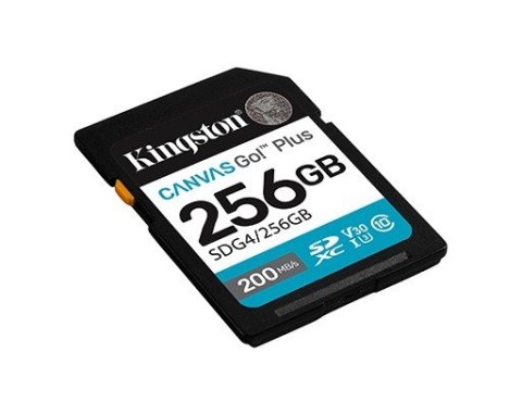 Karta pamięci SD 256GB Canvas Go Plus 200/160 MB/s C10 U3 V30