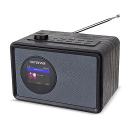 Orava głośnik Přenosný rádiopřijímač, czarny, regulacja głośności, przenośny, USB/FM/AUX/Bluetooth, Mp3, WAV