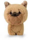 Maskotka TEDDY PETS Gryfonik brukselski