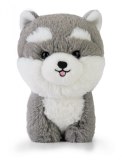Maskotka TEDDY PETS Husky