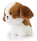 Maskotka TEDDY PETS Shih Tzu