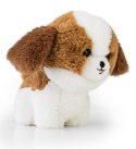 Maskotka TEDDY PETS Shih Tzu