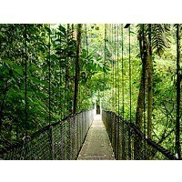 ProDesk 4 Tower G1i Desktop AI PC U7-265 1TB/16/W11P 9H7U8ET