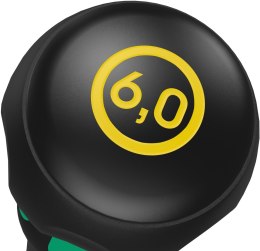 WKRĘTAK DO ŚRUB Z NACIĘCIEM PROSTYM 1 X 6 X 100 MM