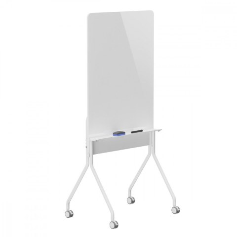 Tablica suchościeralna ER-305