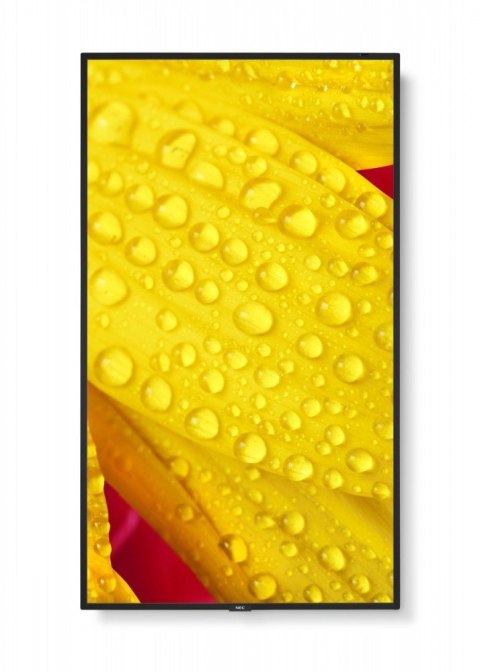 Monitor wielkoformatowy MultiSync M651-2 65 cali UHD 500cd/m2 24/7