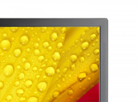 Monitor wielkoformatowy MultiSync M651-2 65 cali UHD 500cd/m2 24/7