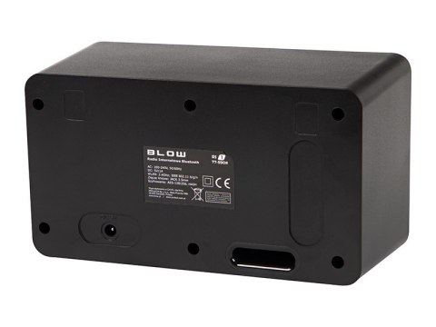 Radio przenośne RI1 internetowe