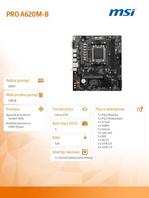 Płyta główna PRO A620M-B AM5 2DDR5 HDMI/M2 mATX