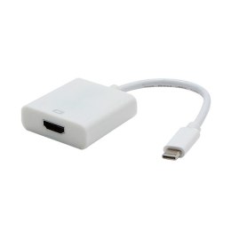 USB/Video DP Alt Mode, USB C (M) - HDMI F, biały, plastic bag 4K2K@30Hz