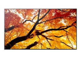 Monitor wielkoformatowy MultiSync M552 55 cali 550cd/m2 24/7