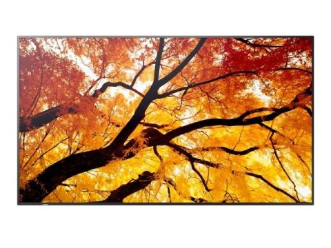 Monitor wielkoformatowy MultiSync M552 55 cali 550cd/m2 24/7