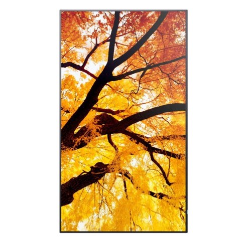 Monitor wielkoformatowy MultiSync M552 55 cali 550cd/m2 24/7