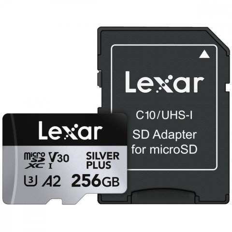 Karta pamięci microSD 256GB C10 A2 U3 V30 205/150MB/s Silver Plus