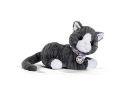 Maskotka interaktywna Baby Born Mój Kot Cookie z pudełkiem