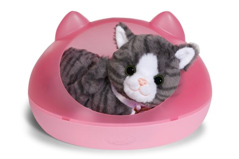 Maskotka interaktywna Baby Born Mój Kot Cookie z pudełkiem