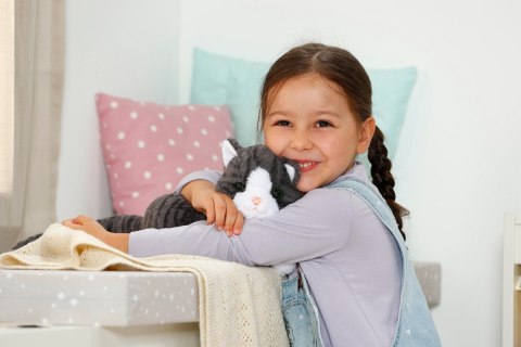 Maskotka interaktywna Baby Born Mój Kot Cookie z pudełkiem