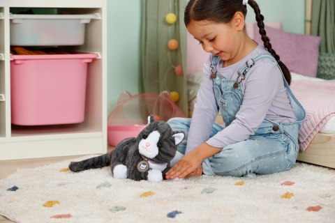 Maskotka interaktywna Baby Born Mój Kot Cookie z pudełkiem