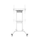 Stojak podłogowy mobilny FL55-875WH1