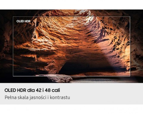 Telewizor OLED 48 cali QE48S90FAEXXH