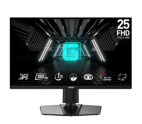Monitor G255PF E2 24,5 cala LED/FHD/Flat/180Hz/Black