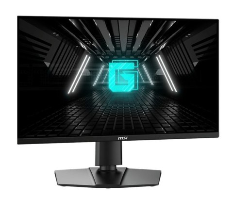 Monitor G255PF E2 24,5 cala LED/FHD/Flat/180Hz/Black