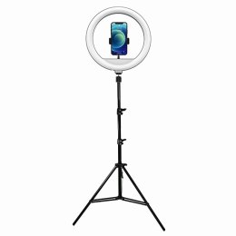 Powerton lampa pierścieniowa 13