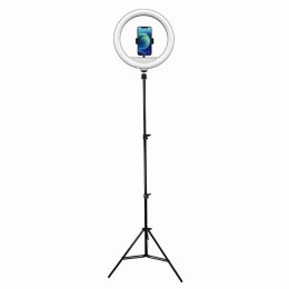 Powerton lampa pierścieniowa 13